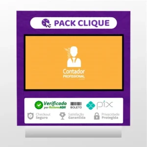 Contador Profissional: Vivendo de Contabilidade - Angélica Flor