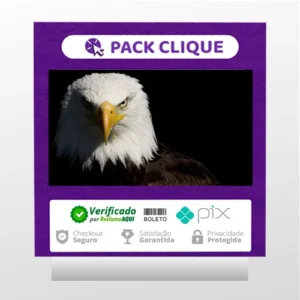 Mentoria Águias Do Tiktok - Samuka