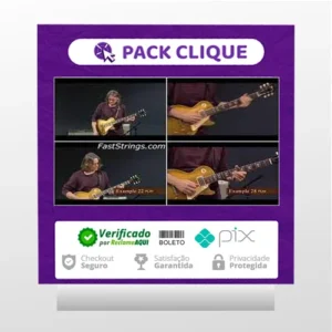 Robben Ford - Art Of Blues Rhythm [INGLÊS]