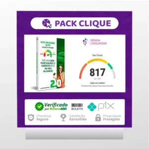 Guia do Score Alto 2.0 - Everest Digital