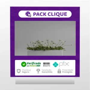 Shading no Blender para Iniciantes - Rafael Vallaperde