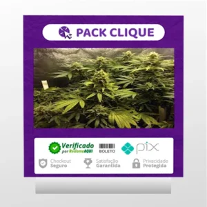 Cultivo Indoor de Plantas Medicinais - Jean Silva