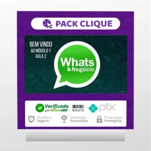 Como Vender Mais Usando o Whatsapp - Luiz Felipe Castro